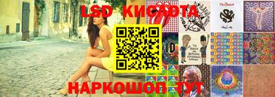 крисы Моздок
