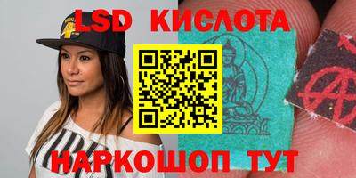 apvp Можга