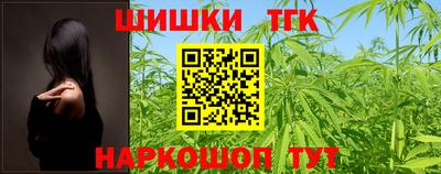 крисы Моздок