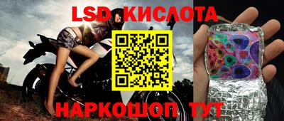 крисы Моздок