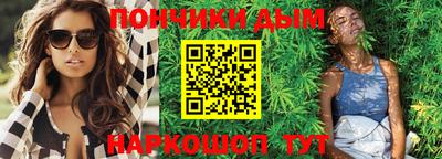 крисы Моздок