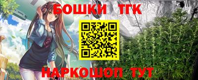 крисы Моздок