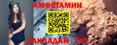 apvp Можга