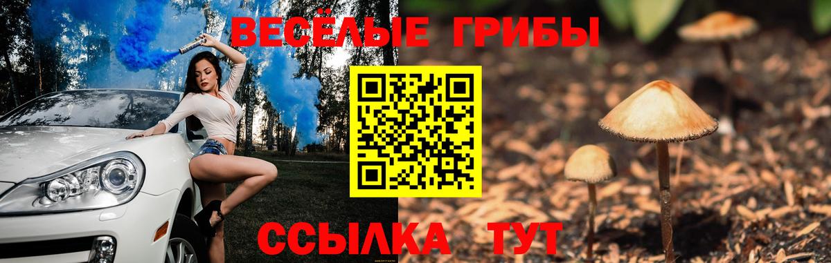 Галлюциногенные грибы мицелий  Галлюциногенные грибы Magic Shrooms  Вход с VPN  Волжск 